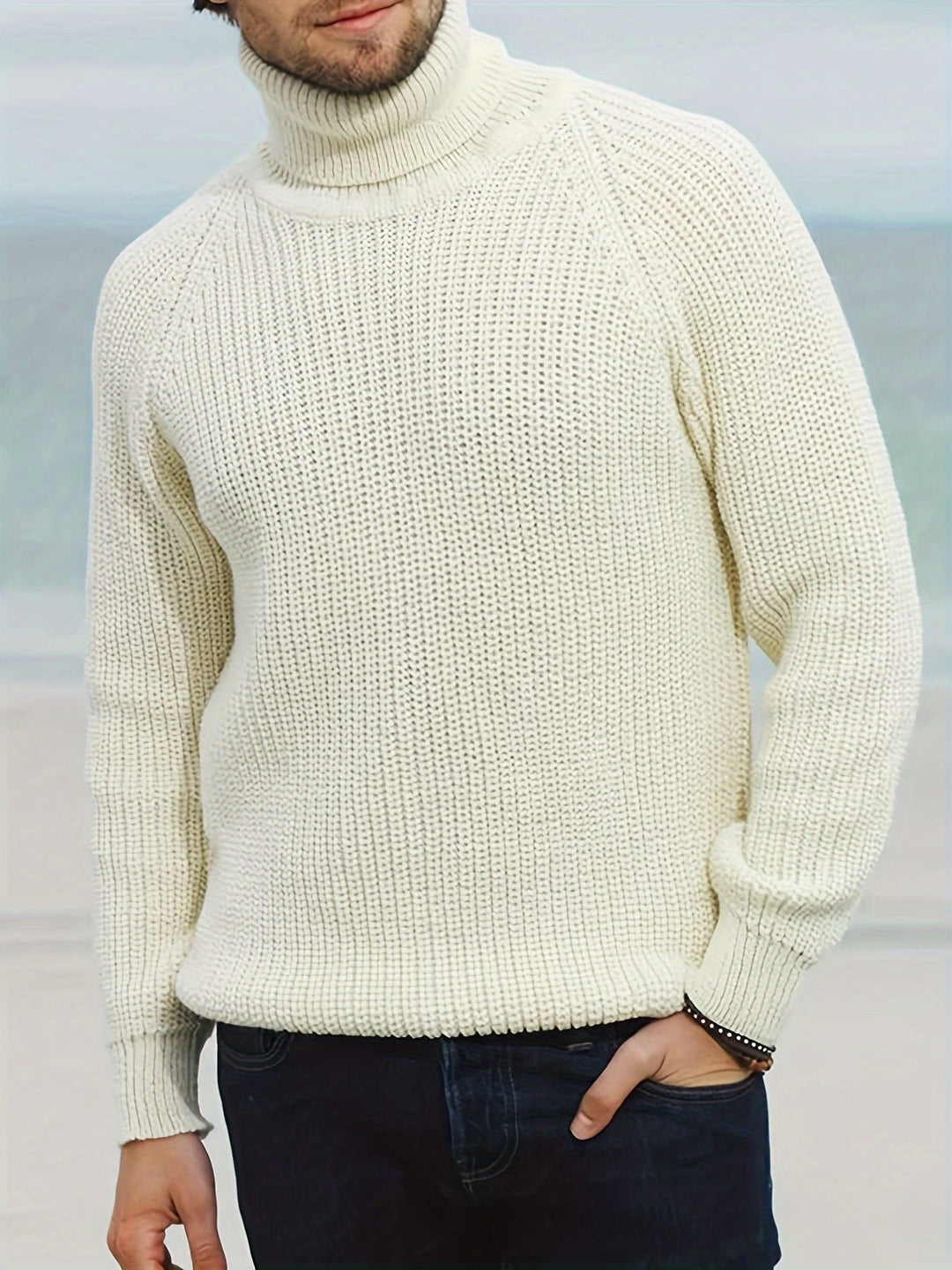 Mens Jumper Roll Neck Knit for Autumn (2)
