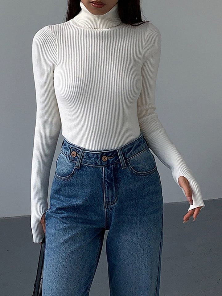 Women's Minimalist Jumper Dress Turtleneck (12)