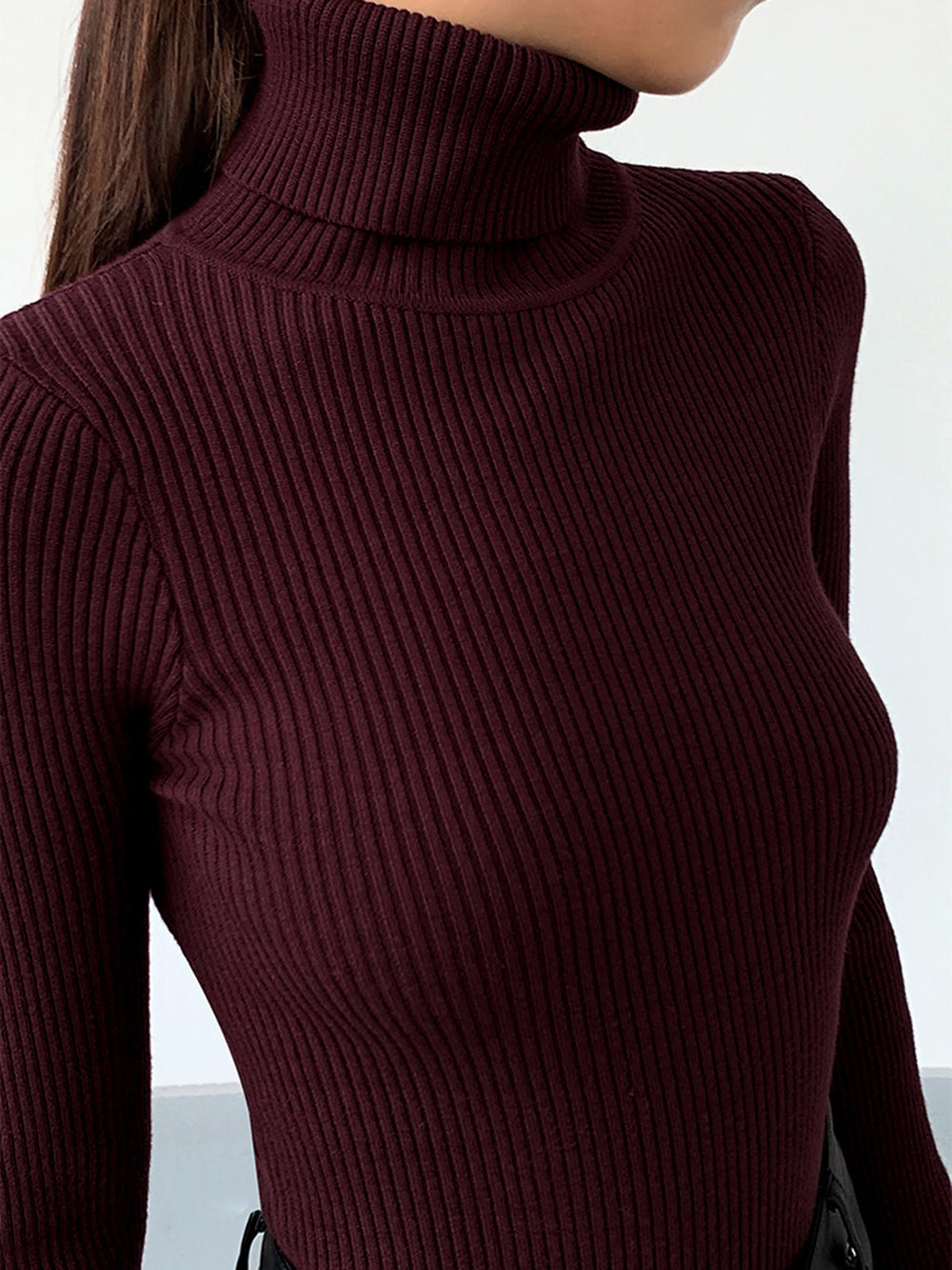 Women's Minimalist Jumper Dress Turtleneck (2)