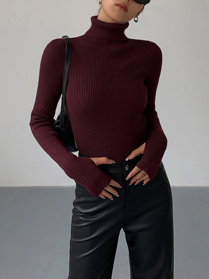 Women's Minimalist Jumper Dress Turtleneck (3)