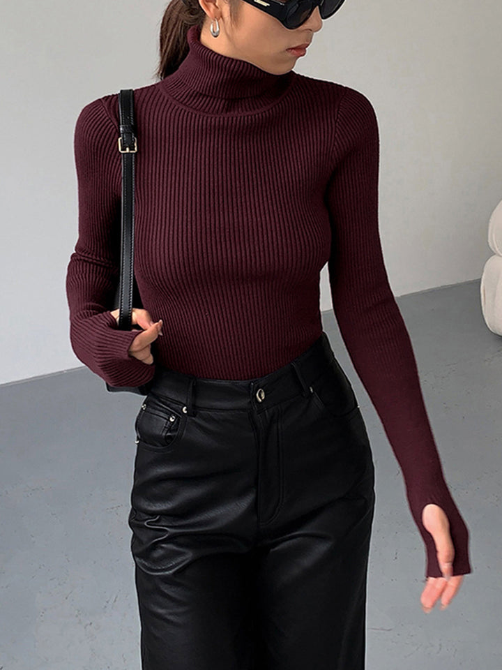 Women's Minimalist Jumper Dress Turtleneck (4)