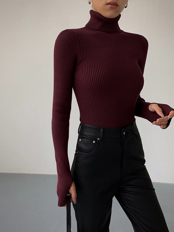 Women's Minimalist Jumper Dress Turtleneck (5)