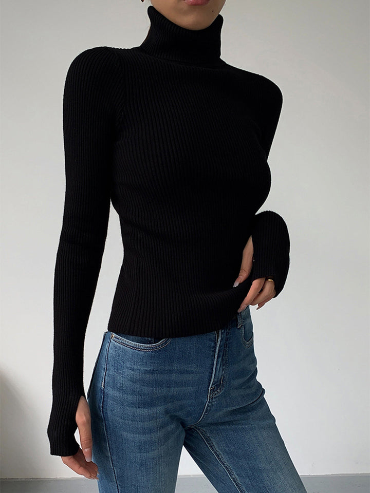 Women's Minimalist Jumper Dress Turtleneck (8)